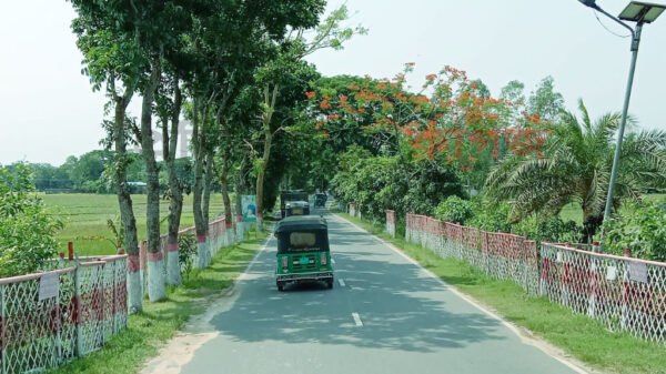উন্নয়নের ছোঁয়ায় পাল্টে যাচ্ছে রাউজান