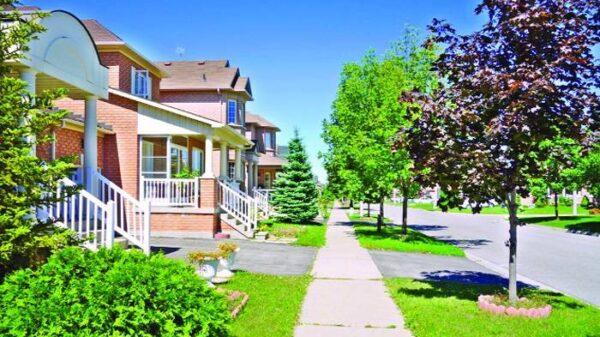 অর্থ পাচারকারী ২৮ জন কারা!