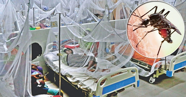 চট্টগ্রামে ২৪ ঘণ্টায় আরও ১১১ জন ডেঙ্গু রোগী