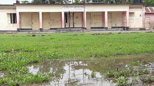 গৌরীপুরে টিআর প্রকল্পে দুর্নীতি, স্কুল মাঠে মাটি ভরাটের ২ লক্ষাধিক টাকা উধাও!