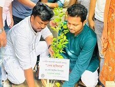 শেখ হাসিনার ৭৭ তম জন্মদিনে সোহরাওয়ার্দী কলেজ ছাত্রলীগের বৃক্ষরোপণ