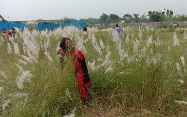 শুভ্র কাশফুলে মুগ্ধ পাবিপ্রবি