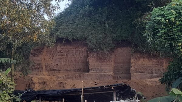 বৃদ্ধাঙ্গুলি