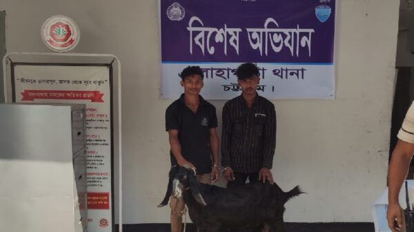 লোহাগাড়া