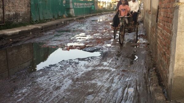 বাকলিয়া