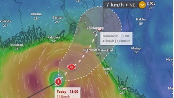 ‘হামুন’