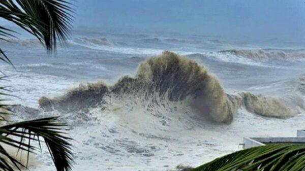 জলোচ্ছ্বাসের
