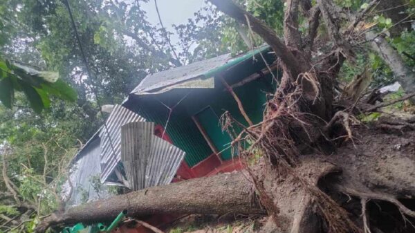 ঘূর্ণিঝড়