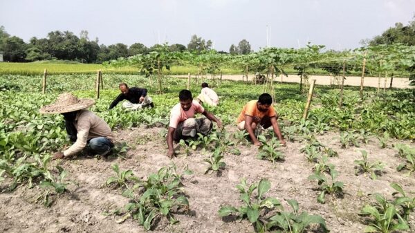 শীতকালীন