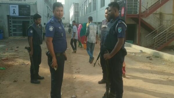 ড্যাফোডিলের