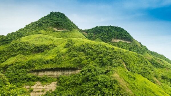 টেকনাফে পাহাড়ে মিলল গুলিবিদ্ধ মরদেহ
