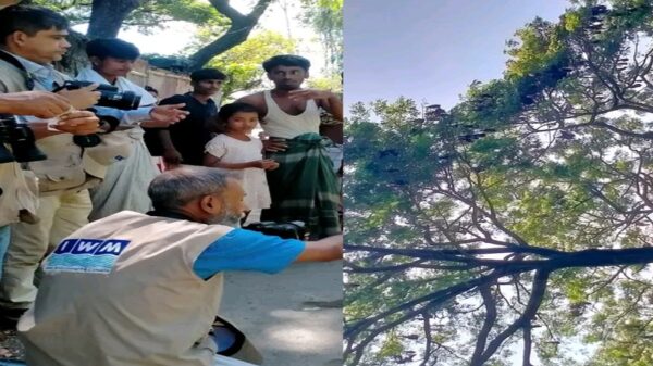 এলাকাবাসীর আচরণে বেড়েছে পাখির বিচরণ