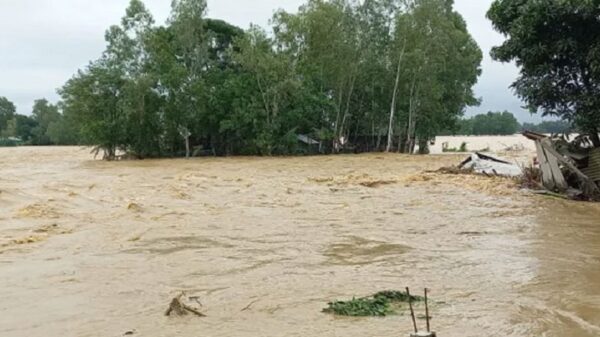 স্মরণকালের ভয়াবহ বন্যায় বিপর্যস্ত ১২ জেলা, মৃত্যু ১৩