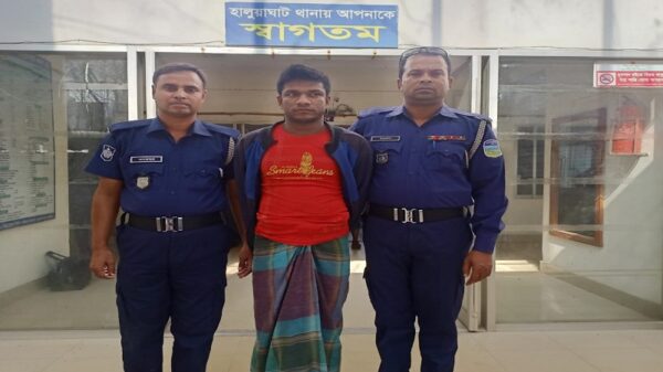 হালুয়াঘাটে বিশেষ অভিযান চালিয়ে সাজাপ্রাপ্ত আসামি গ্রেফতার