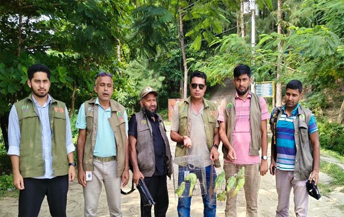 মিরসরাইয়ে খাঁচাবন্দী ৮টি টিয়া পাখি উদ্ধার, মহামায়া ইকো-পার্কে অবমুক্ত করলেন বিট কর্মকর্তা আলামিন 