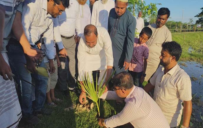 ফুলবাড়ীয়ার বড়বিলা পাড়ে কলকারখানা ও প্রতিষ্ঠান পরিদর্শন অধিদপ্তরের বৃক্ষরোপণ