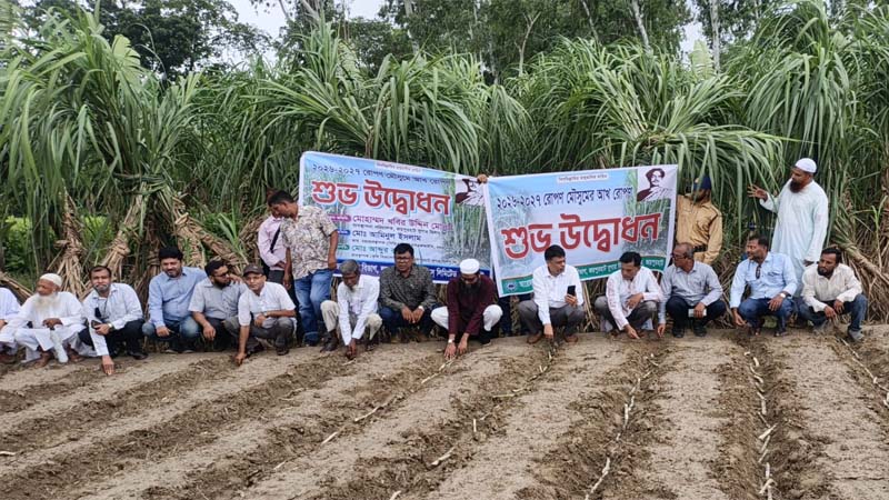৩ হাজার ৭০০ একর জমিতে আখ চাষের লক্ষ্যমাত্রা ধার্য জয়পুরহাট চিনিকলে আখ রোপণ মৌসুমের উদ্বোধন