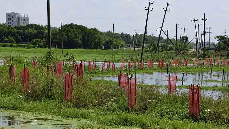 গাজীপুর শ্মশানের চিলাইখালে দৃষ্টিনন্দন প্রকল্প, বর্ষার পানিতে তলিয়ে যাচ্ছে গাছপালা