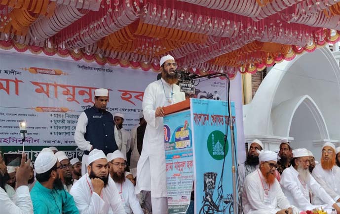 গণভোট অবৈধ হলে বিএনপি সরকারও অবৈধ  .মামুনুল হক 