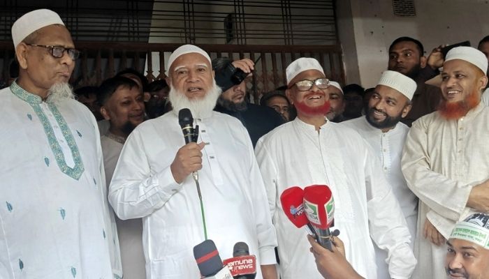 বিদ্যুৎ যায় না, মাঝে মাঝে আসে : জামায়াত আমির