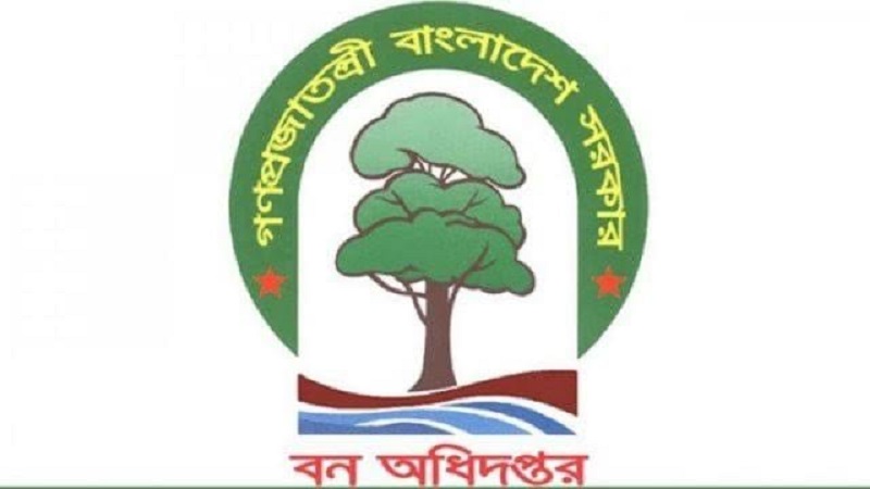 বন বিভাগে মাঠ পর্যায় ও চার দেয়ালে চার ভাগের স্বার্থের দ্বন্দ্ব
