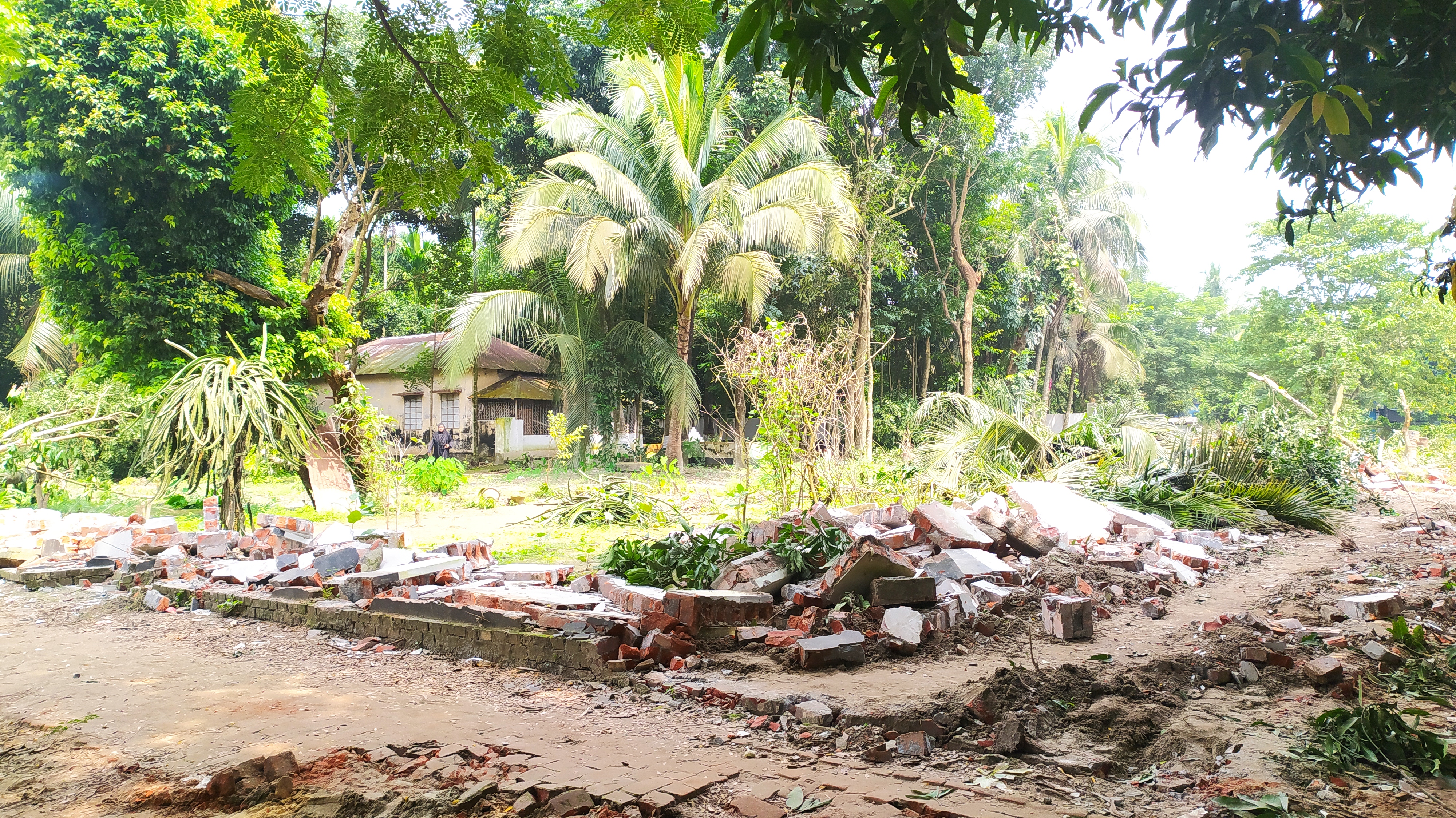 কুমিল্লার তিতাসে বিএনপি নেতার পৈতৃক ভিটায় তাণ্ডব: সীমানা প্রাচীর গুঁড়িয়ে শতাধিক গাছ নিধন