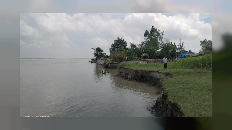 চৌহালীতে যমুনার ভাঙনে বিপর্যস্ত জনজীবন, চাই স্থায়ী বাঁধ