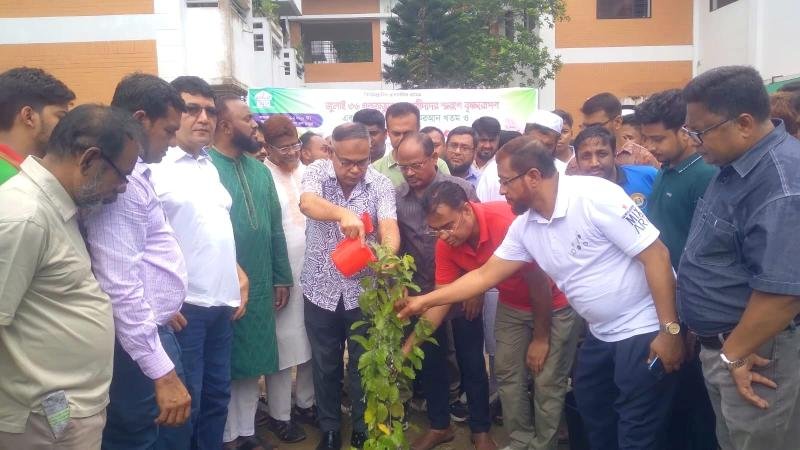 জুলাই শহীদ দিবস উপলক্ষে ইবিতে বৃক্ষরোপণ কর্মসূচি