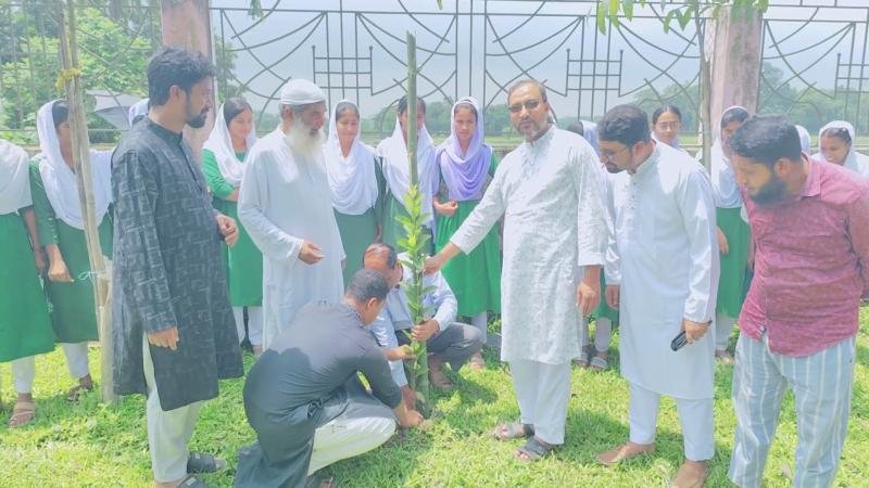 স্মৃতিবিজড়িত স্কুলে বৃক্ষরোপণ করলেন এমপি অধ্যক্ষ কামরুল হাসান মিলন