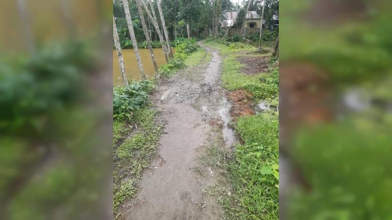 তাড়াইলে বেহাল সড়কের কারণে চরম জনদুর্ভোগ, দ্রুত সংস্কারের দাবি
