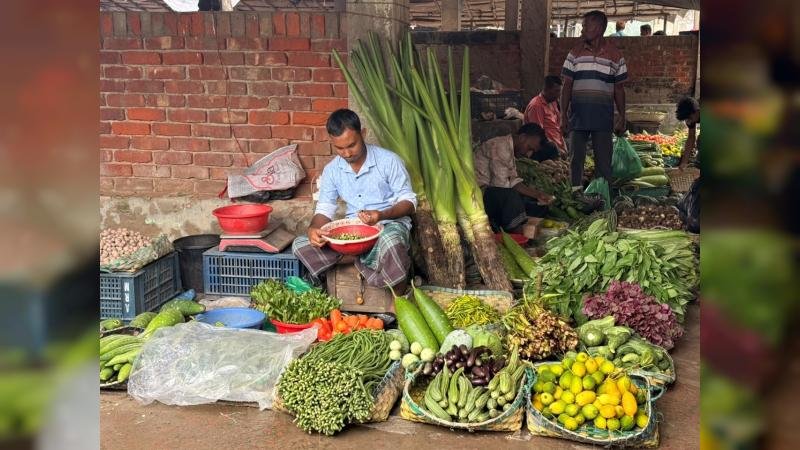 সাতকানিয়ায় সবজির জোগানে উত্তরবঙ্গই ভরসা