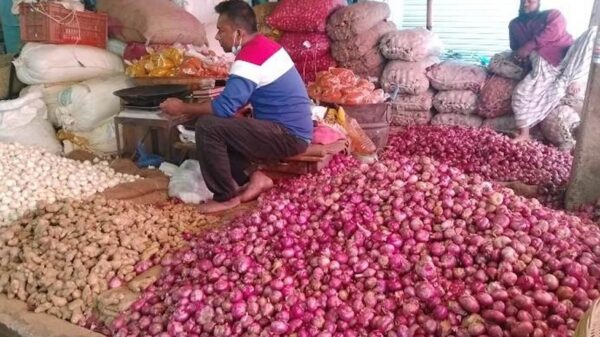 সোমবার থেকে পেঁয়াজ আমদানির অনুমতি