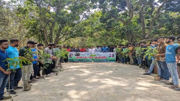 একশো গাছ লাগিয়ে বৃক্ষরোপণ কর্মসূচি শুরু ইবি ছাত্রলীগের