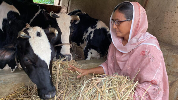 ব্যাংকের চাকরি ছেড়ে বিলকিছ আক্তার এখন সফল খামারি