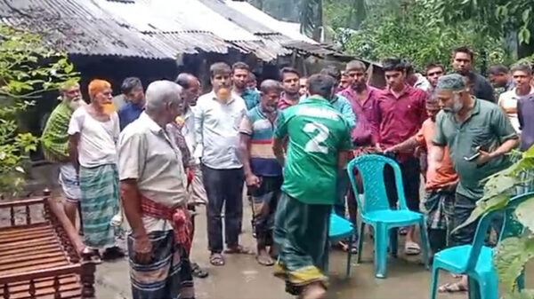 ঘূর্ণিঝড় ‘দানা’র প্রভাবে গাছ পড়ে একজনের মৃত্যু